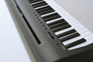 ES 100 Portable Piano